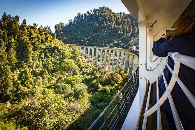 Northern Explorer Train Journey from Auckland to Wellington - Café carriage food and coffee: what to expect, and how to budget