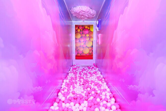 Odyssey Sensory Maze Entry Auckland Ticket - Where Odyssey wins: rainy-day fun that’s actually active
