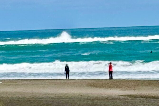 Piha Beach - Who this tour is best for (and who should pass)