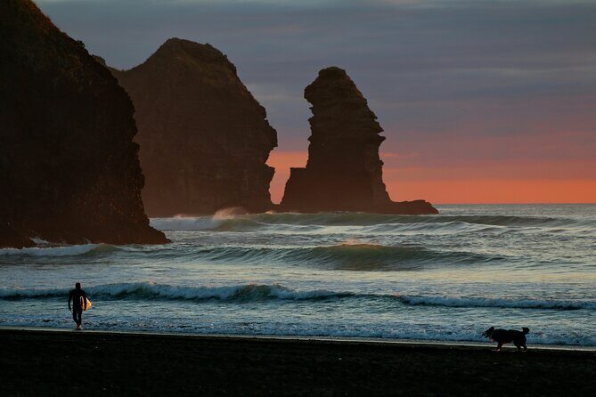 Piha Beach & Wilderness Nature : PRIVATE TOUR 8 hrs - Key Takeaways Before You Go