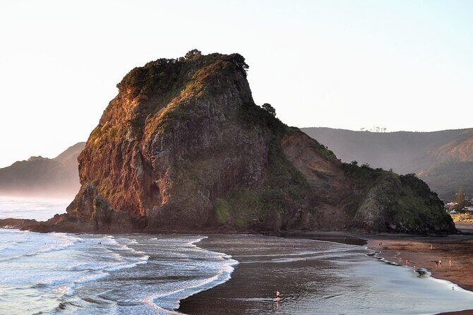 Piha Beach & Wilderness Nature : PRIVATE TOUR 8 hrs - Piha and Auckland in One 7.5-Hour Private Day