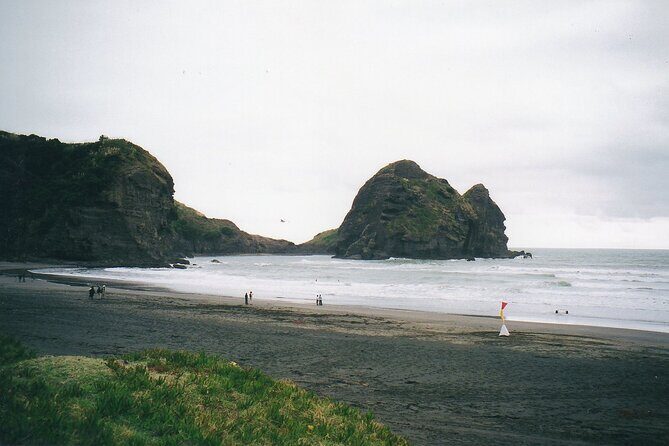 Piha Beach & Wilderness Nature : PRIVATE TOUR 8 hrs - Piha Beach: Black Sand and Rugged Coastline Time