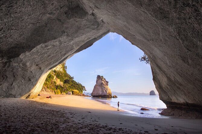 Piha Beach & Wilderness Nature : PRIVATE TOUR 8 hrs - Optional Arataki Visitor Centre and Karekare Waterfall Add-On