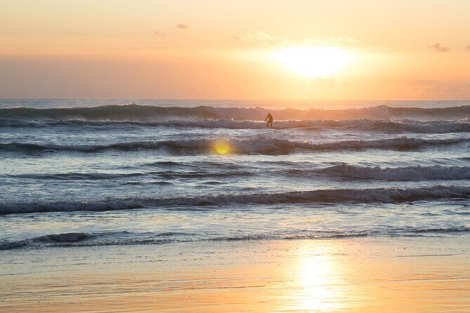 Piha Beach & Wilderness Nature : PRIVATE TOUR 8 hrs - The Private Tour Advantage: Pace, Personality, and Real Questions