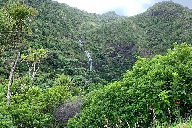 Piha Waitakere Rainforest Wine Tour from Auckland - Lunch in Kumeu at Soljans Estate: Where the Wine Day Starts