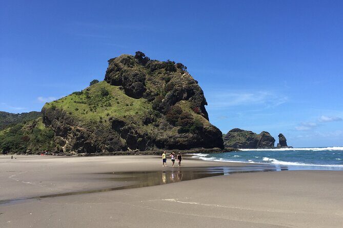 Piha Waitakere Rainforest Wine Tour from Auckland - Making the Most of a 7-Hour Day