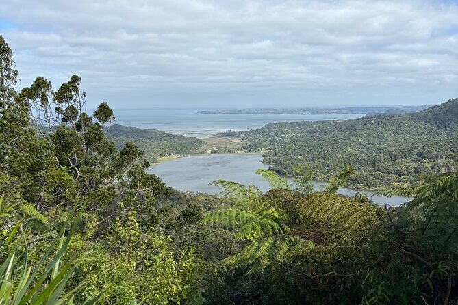 Private Auckland best Spots + Piha beach and rainforest day Tour - Westhaven Marina: the easiest Auckland “sense of place” stop