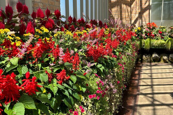 Private Auckland best Spots + Piha beach and rainforest day Tour - Auckland Domain Winter Gardens: a short glasshouse break that feels different