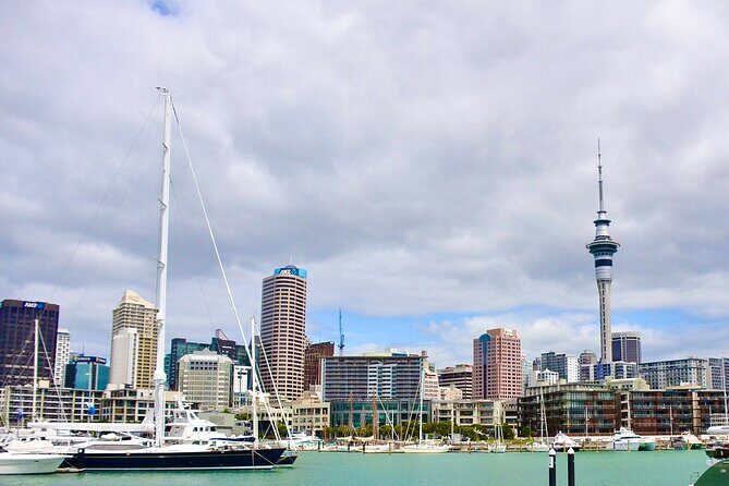 Private Auckland best Spots + Piha beach and rainforest day Tour - Price and what you really get for $217.20