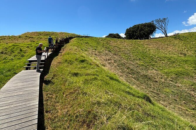 Private Auckland Best Top 5 Spots Half day Tour - Starting in Auckland CBD: the day begins with direction