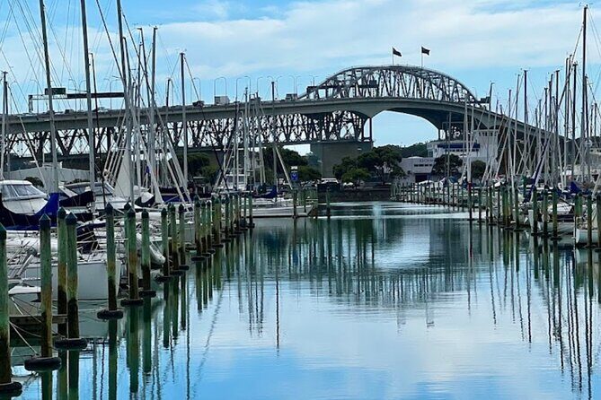 Private Auckland Best Top 5 Spots Half day Tour - What Makes This Tour Feel Premium: Guides, Flexibility, and Touches