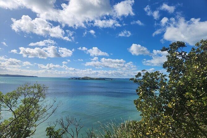 Private Auckland Best Top 5 Spots Half day Tour - Who This Half-Day Tour Fits Best