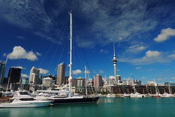Private Auckland City Highlights Tour - Key Highlights Worth Booking For