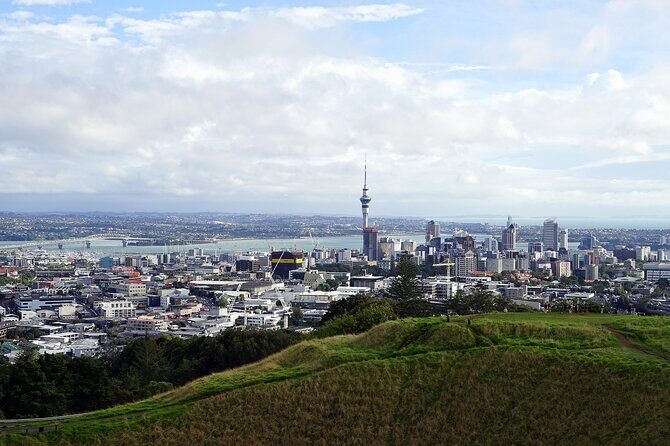 Private Auckland City Highlights Tour - Maungawhau / Mount Eden: The Crater Rim Walk and the 360-Degree Payoff