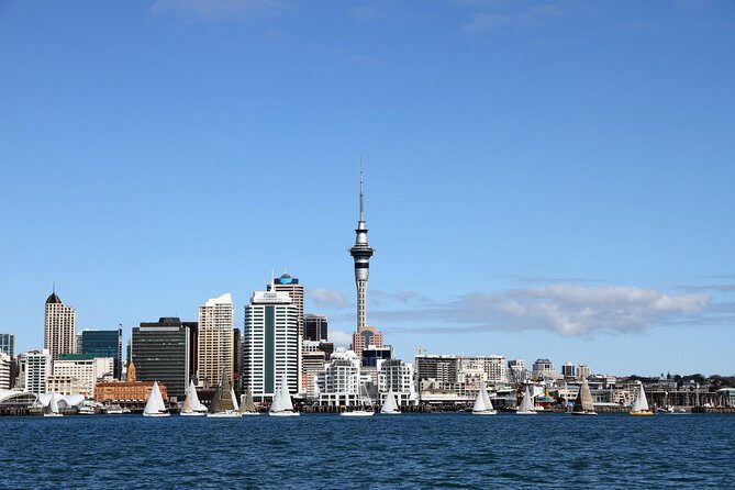 Private Auckland City Tour For Small Group in a luxury vehicle. - Key points at a glance