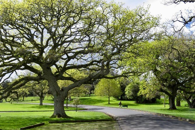 Private Auckland City Tour For Small Group in a luxury vehicle. - Auckland Museum and the Winter Gardens: short stop, good payoff