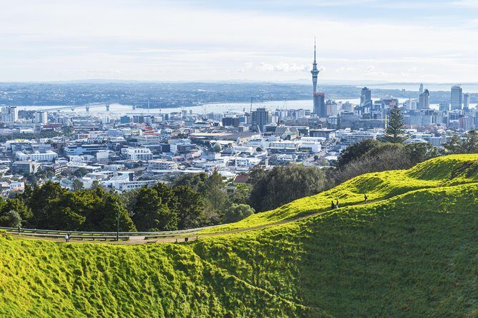 Private Auckland City Tour Including Auckland Tour House Visit - The Big Picture: What This 4-Hour Auckland Loop Really Gives You
