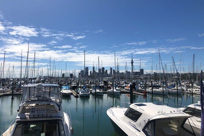 Private Auckland Half Day Tour - Key things to know before you go
