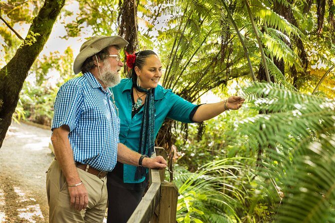 Private Auckland Half Day Tour - Tamaki Drive: why that one road gets famous