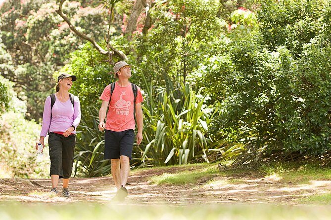 Private Auckland Luxury Tour - Tamaki Drive and Mission Bay: city icons with ocean views