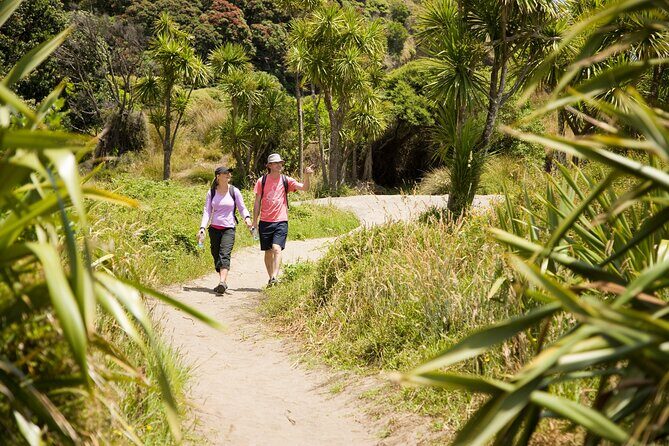 Private Auckland Luxury Tour - Mount Eden: a walk for big Auckland views
