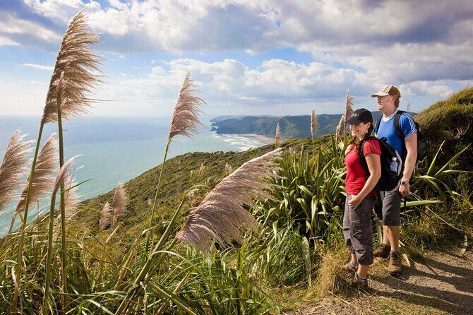 Private Auckland Luxury Tour - Karekare Falls and the Arataki Visitor Centre area: nature with a guide’s lens