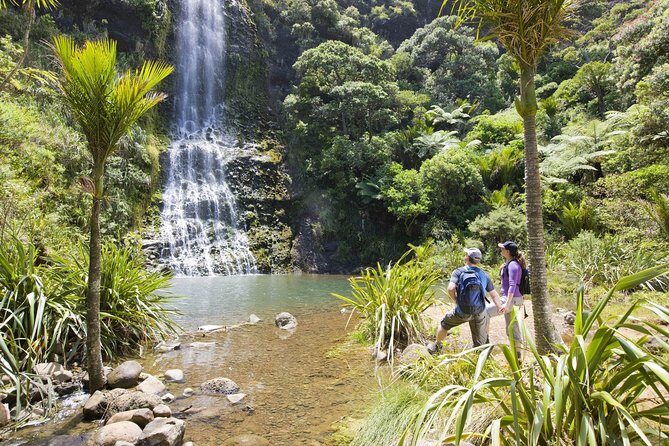Private Auckland Luxury Tour - Titirangi and the gateway to the Waitākere Ranges
