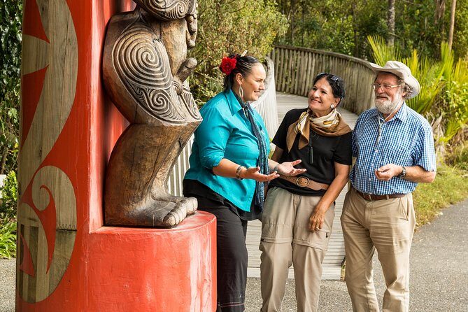 Private Auckland Maori Luxury Tour - Māori culture that you can feel: performances, stories, and guide energy
