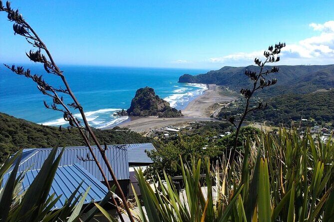 Private Auckland Sightseeing - Full Day/Half Day Hidden Gems Tour - Key highlights worth caring about