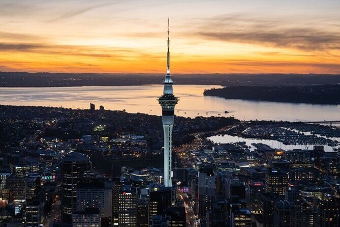 Private Auckland Sightseeing - Full Day/Half Day Hidden Gems Tour - Arataki Visitor Centre in the Waitākere Ranges: start the forest section right
