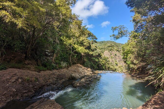 Private Auckland Sightseeing - Full Day/Half Day Hidden Gems Tour - Mount Eden and One Tree Hill: volcanic viewpoints with payoff