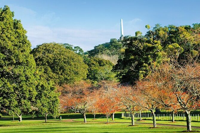Private Auckland Sightseeing - Full Day/Half Day Hidden Gems Tour - Kitekite Falls: the walk break that turns scenery into a moment