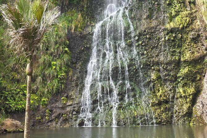 Private Auckland West Coast Tour Piha Beach and Karekare Falls - Why this Auckland West Coast route works so well in a private car