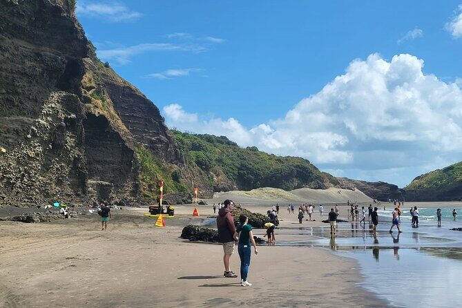 Private Auckland West Coast Tour Piha Beach and Karekare Falls - Mercer Bay Loop to Te Ahua headland: the walk with the best “view payoff”