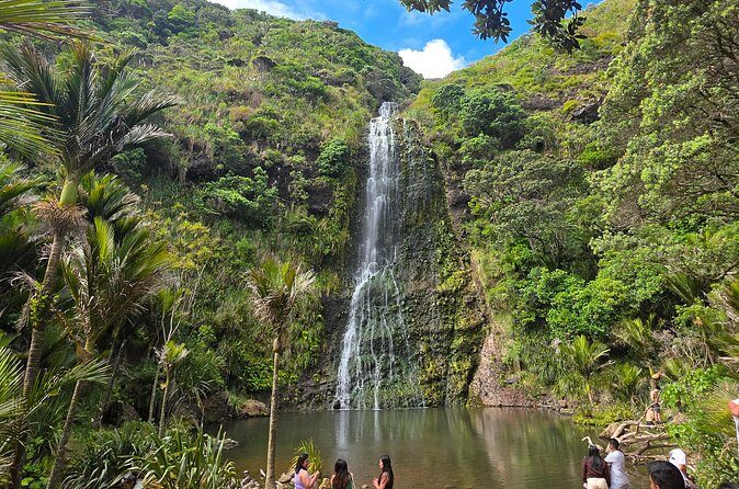 Private Auckland West Coast Tour Piha Beach and Karekare Falls - Practical tips so you enjoy the walk and the views
