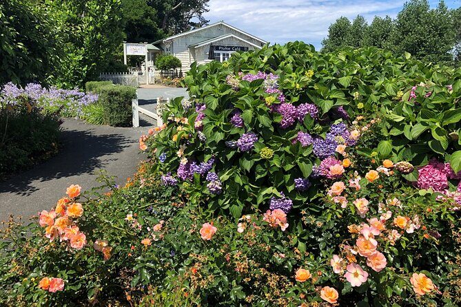 Private Auckland Wine & Dine Matakana Country & Cuisine - Winery Visits Plus Lunch With Views: The Midday Balance