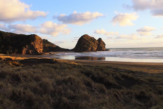 Private Auckland's West Coast - Piha/ Muriwai - Wild West Tour - Arataki Visitor Centre in Waitākere Ranges: start with context, not just photos