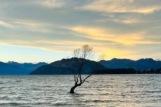 Private Driver Hire – Full-Day Touring-Auckland/Rotorua/Hamilton - Key Things I’d Tell You Up Front