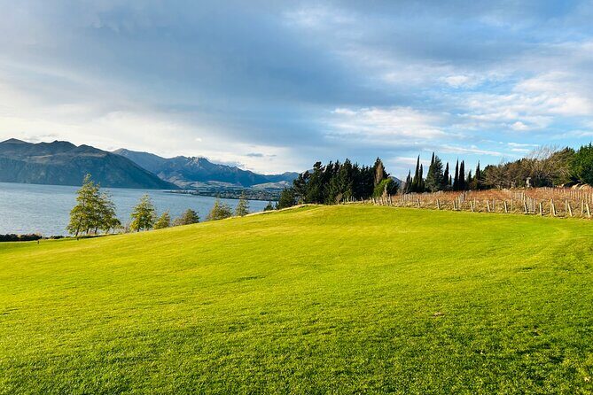 Private Driver Hire – Full-Day Touring-Auckland/Rotorua/Hamilton - What This Private Driver Actually Buys You (And What It Doesn’t)