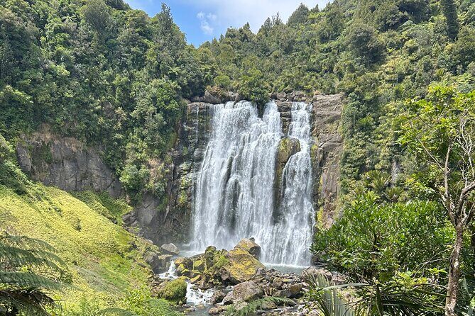 Private Driver Hire – Full-Day Touring-Auckland/Rotorua/Hamilton - Pickup, Vehicle Comfort, and the Big Win of Being Hands-Off