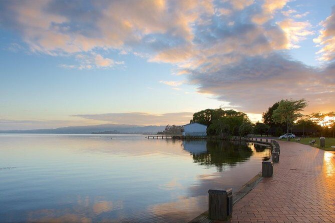 Private Full-Day Rotorua Tour from Auckland - Redwoods and Blue Lake: the quick nature breaks that keep the day fun