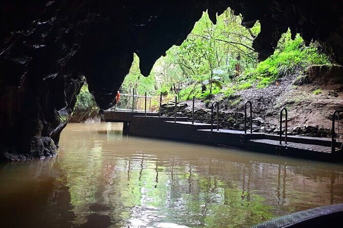 Private Hobbiton & Blue Springs Day Trip from Auckland - Blue Spring (Te Puna Toi Toi): clear water plus the Te Waihou Walkway