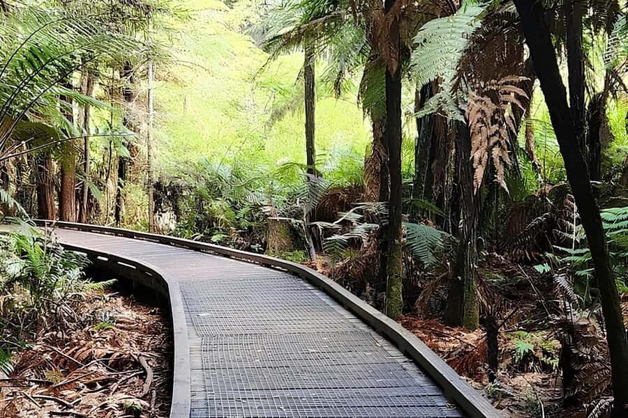 Private Hobbiton & BlueSprings & Redwood forest fromAuckland - Who this private 12-hour tour suits best