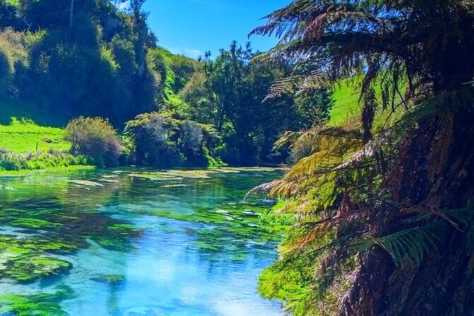 Private Hobbiton, Waitomo Caves, Blue Spring & Hamilton Transfer - Hobbiton Movie Set Tour: check-in timing is your main job