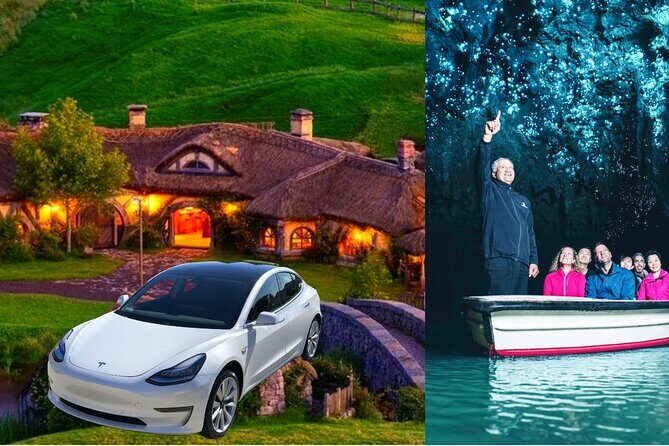Private Hobbiton & Waitomo Caves Transfer from Auckland - Key points worth knowing