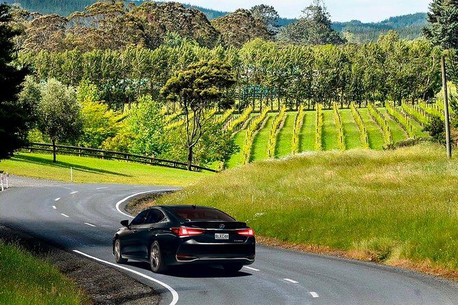Private Luxury Airport Transfers in Auckland – Sedans & Vans - Luxury sedan vs van: choosing the right fit for your bags