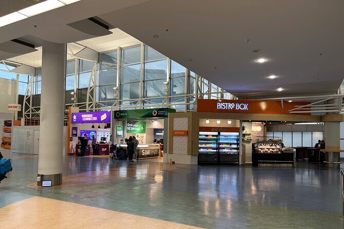 Private Mini Van Transfer From Auckland Airport to Auckland City - Luggage, Vehicle Choice, and Why You Should Tell Them Everything