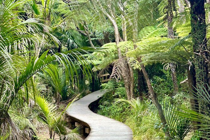 Private Piha Beach, Rainforest Adventure & Mt. Eden with Guide - Mercer Bay Loop: cliff-top walk over the Tasman Sea