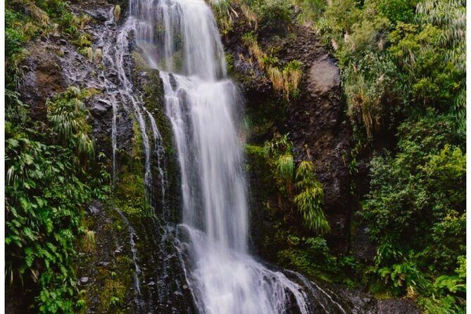 Private Piha Beach, Rainforest Adventure & Mt. Eden with Guide - Arataki Visitor Centre: harbour views plus cultural stops