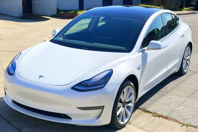 Private Tesla Transfer: Auckland, Tauranga, Rotorua, Taupo - The car and the driver: what to expect during the ride